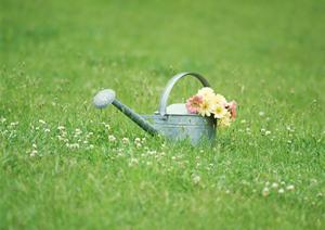 高級感と機能性を両立!縦型IDケースの魅力と選び方ガイド